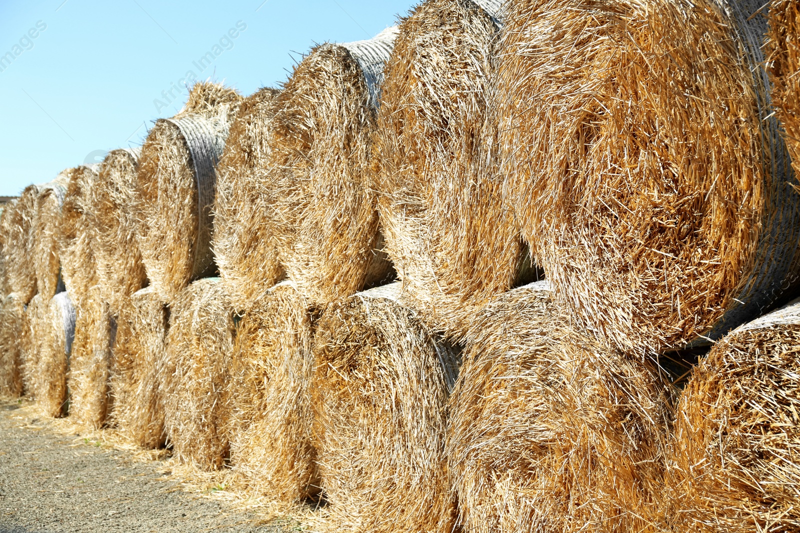 Photo of Many hay blocks outdoors on sunny day