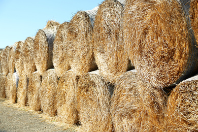 Photo of Many hay blocks outdoors on sunny day