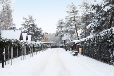 Beautiful view of city street with cottages and trees on winter day