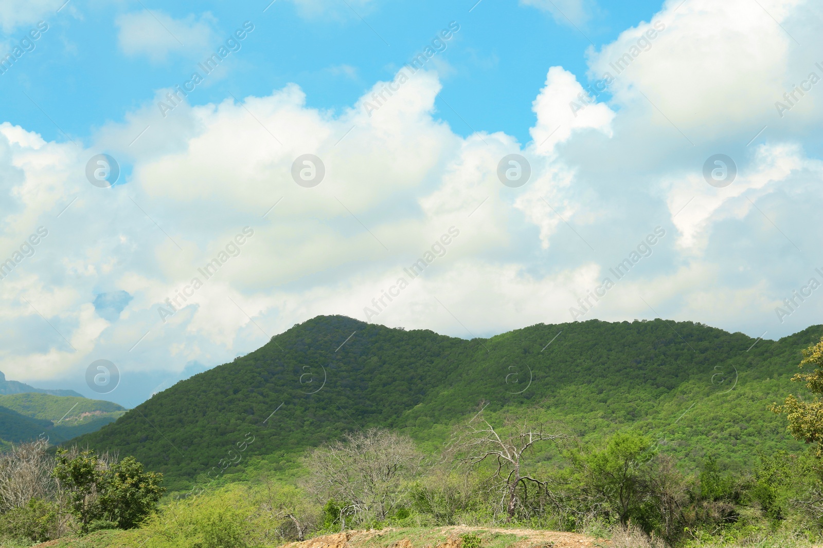 Photo of Picturesque view of mountains and green meadow