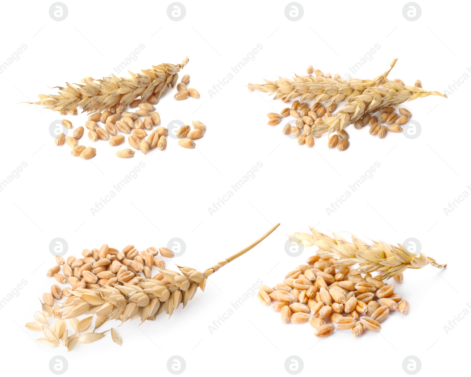 Image of Set with heaps of wheat grains on white background