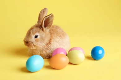 Photo of Adorable furry Easter bunny and dyed eggs on color background, space for text