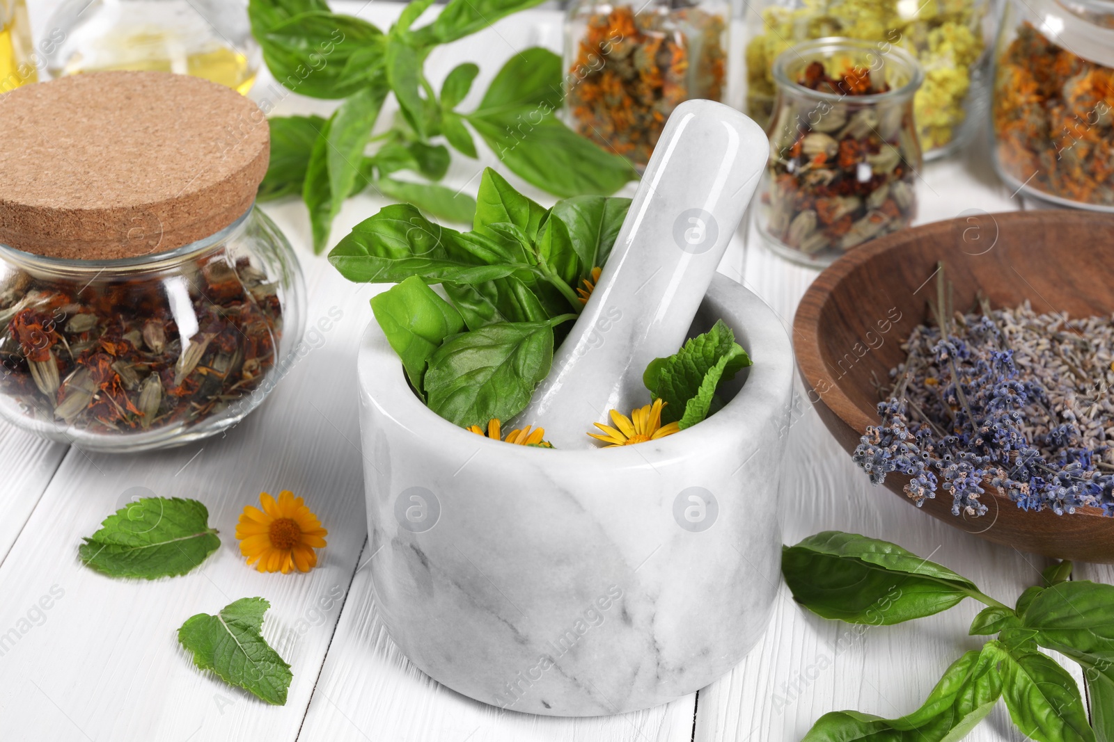 Photo of Mortar with pestle and many different medicinal herbs on white wooden table, closeup