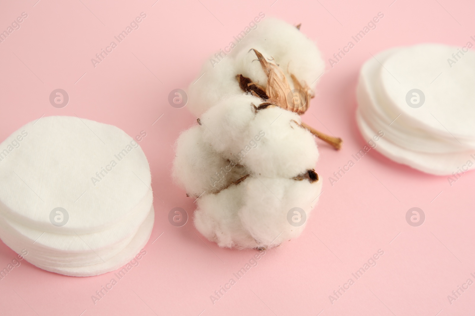 Photo of Cotton pads and flowers on pink background, closeup