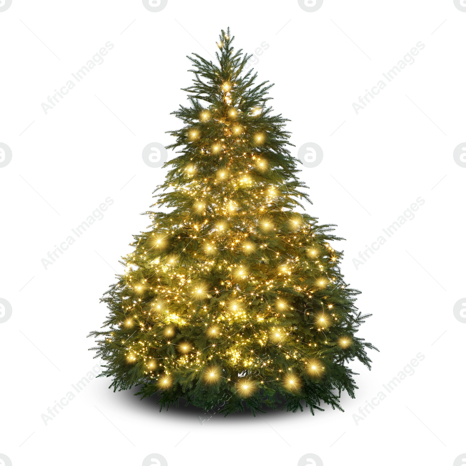 Image of Christmas tree decorated and festive lights isolated on white