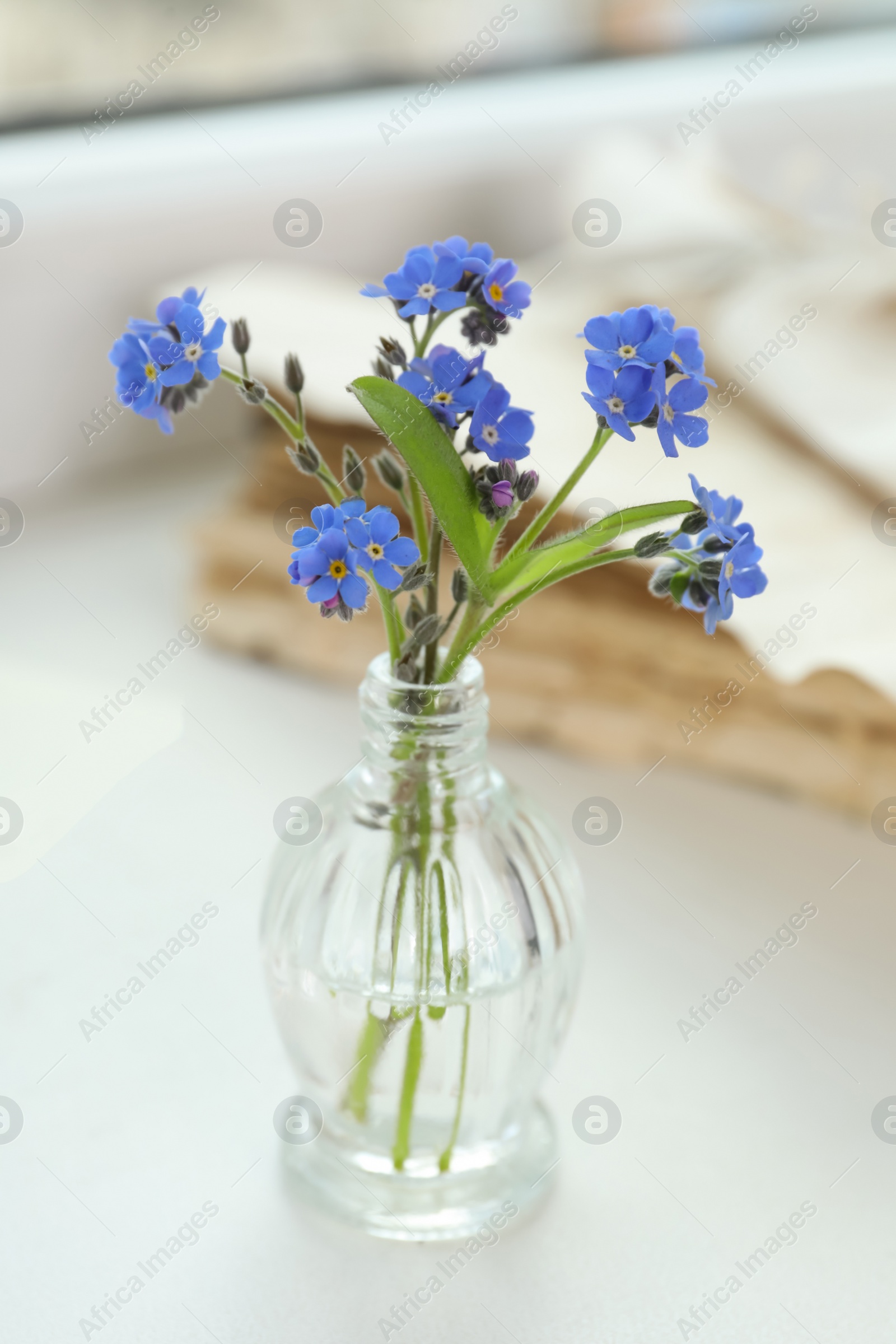 Photo of Beautiful blue forget-me-not flowers in glass bottle on window sill, closeup
