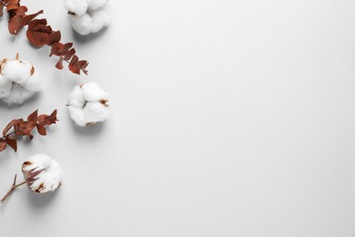 Photo of Fluffy cotton flowers and leaves on light grey background, flat lay. Space for text