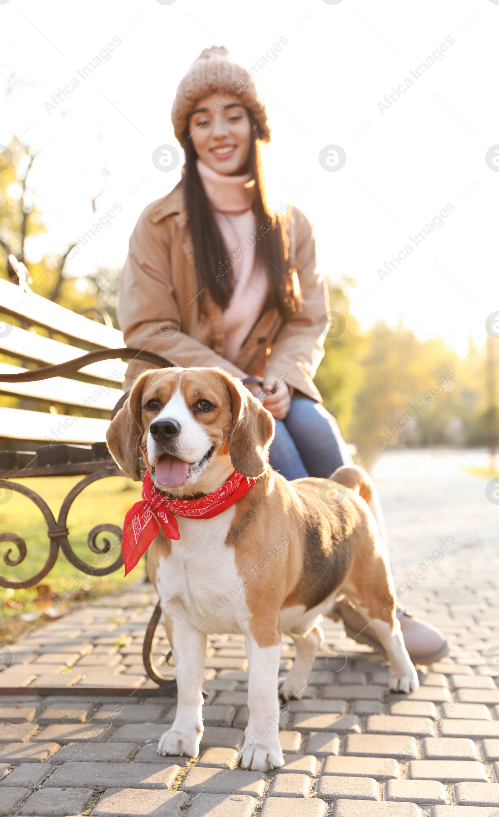 Photo of Woman walking her cute Beagle dog in autumn park