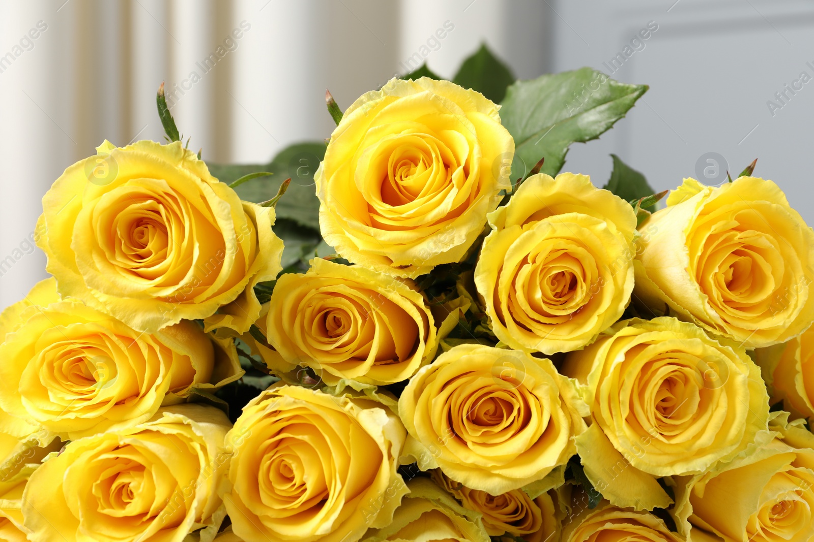 Photo of Beautiful bouquet of yellow roses against blurred background, closeup