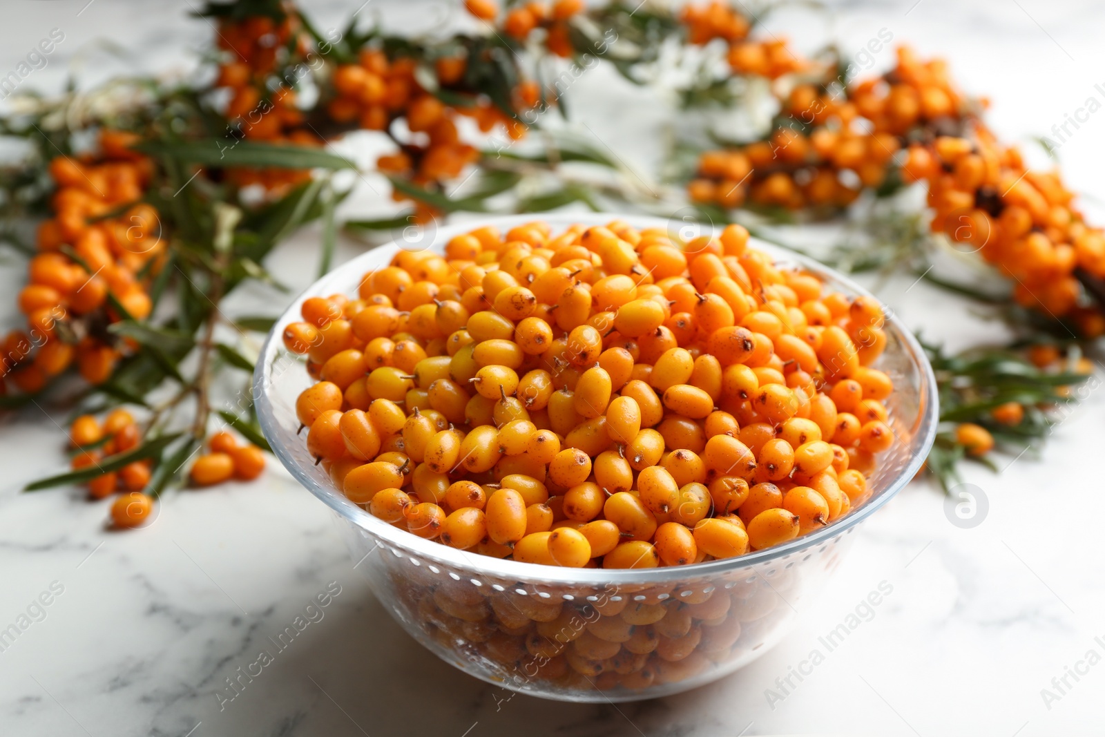 Photo of Ripe sea buckthorn berries on white marble table, closeup