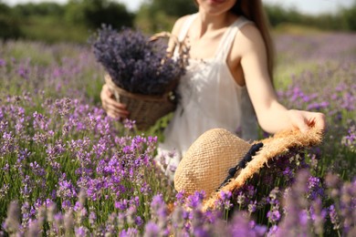 Photo of Young woman with straw hat in lavender field on summer day, closeup