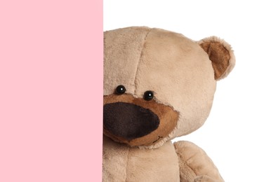Cute teddy bear peeking out of blank card on white background