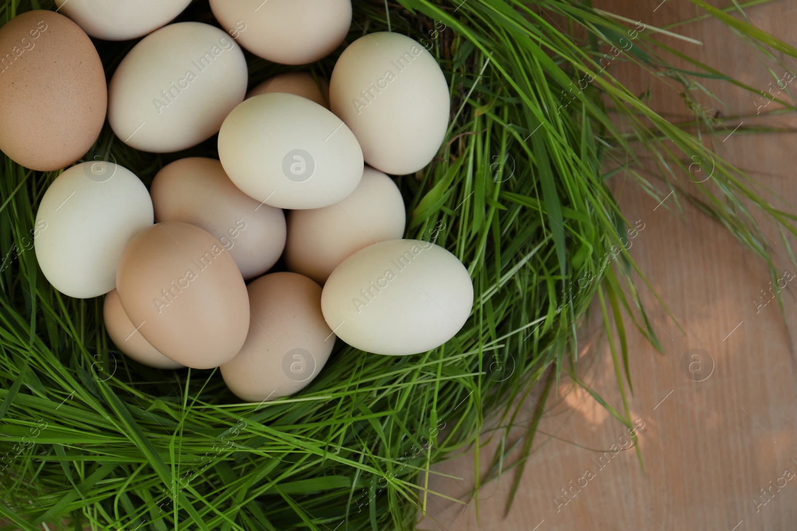 Photo of Nest made of green grass with fresh raw eggs on wooden table, top view