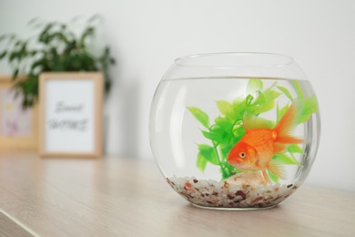 Photo of Beautiful bright small goldfish in round glass aquarium on wooden table. Space for text