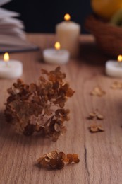 Dried hortensia flowers and burning candles on wooden table, closeup