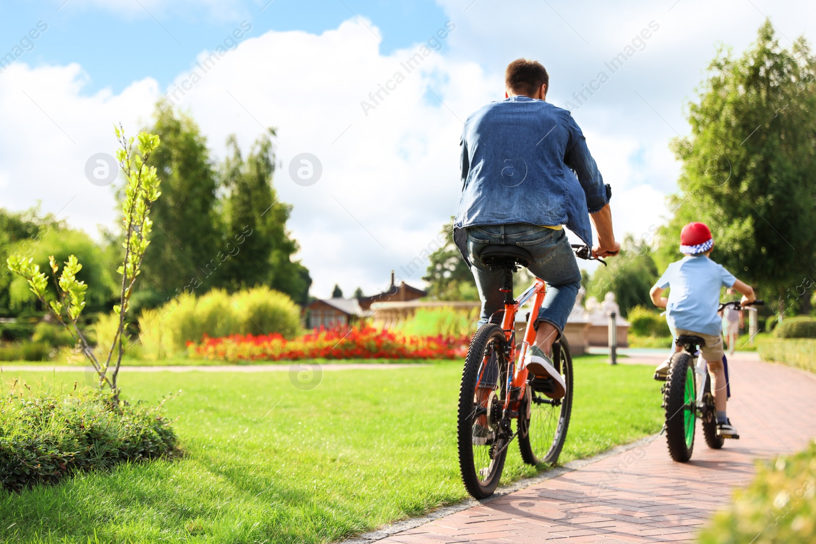 Photo of Dad and son riding modern bicycles outdoors