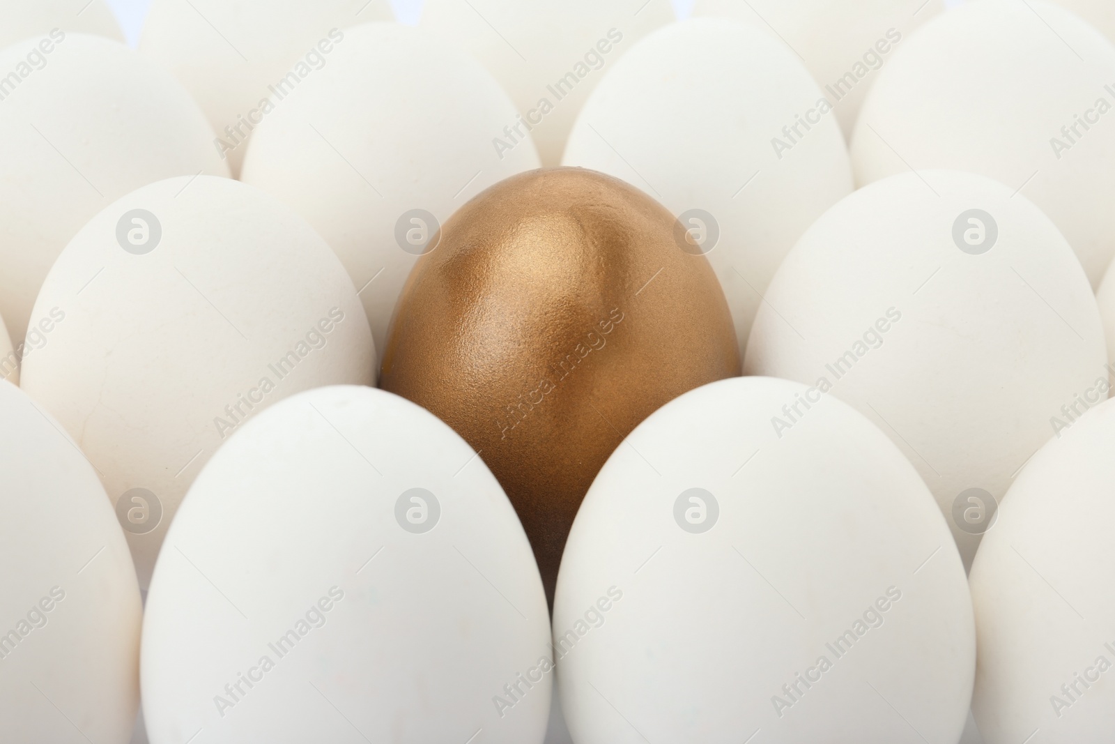 Photo of Golden egg among ordinary ones as background, closeup