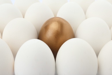 Golden egg among ordinary ones as background, closeup