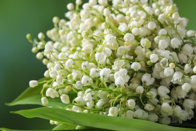 Photo of Beautiful lily of the valley flowers on blurred green background, closeup