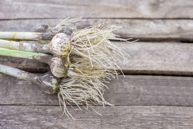 Photo of Fresh ripe garlic bulbs on wooden table