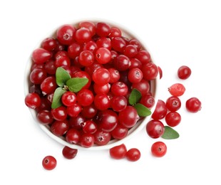 Photo of Bowl of fresh ripe cranberries with leaves isolated on white, top view