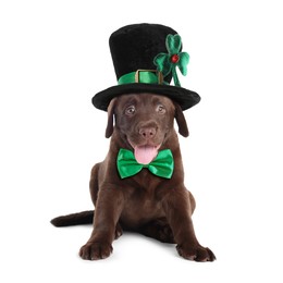 St. Patrick's day celebration. Cute Chocolate Labrador puppy with leprechaun hat and green bow tie isolated on white