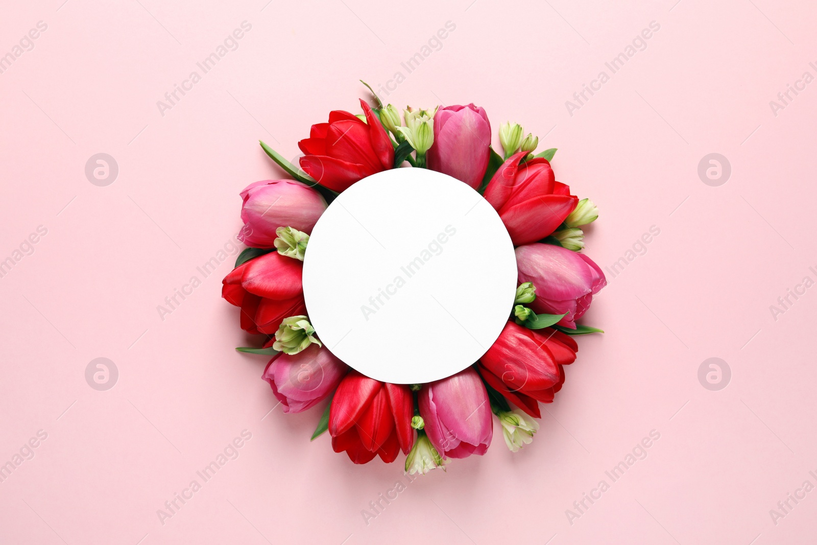 Photo of Beautiful composition with spring flowers and blank card on color background, top view. Space for text