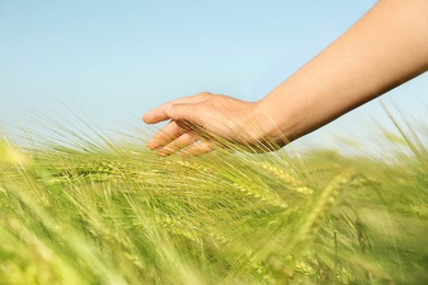 Photo of Woman in wheat field on sunny summer day, closeup on hand. Amazing nature