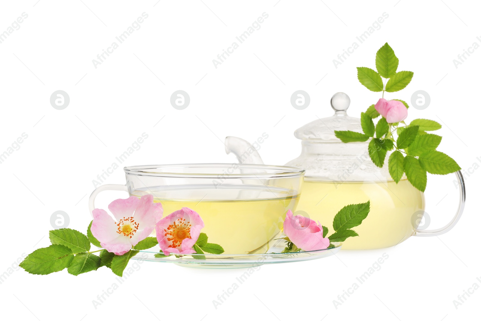 Photo of Aromatic herbal tea in glass cup, teapot, flowers and green leaves isolated on white