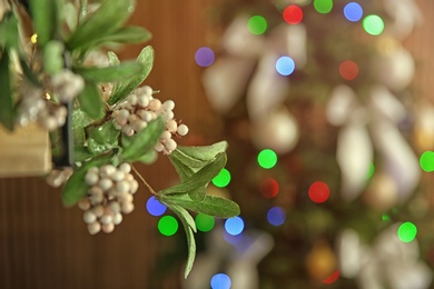 Photo of Branch of mistletoe with berries and blurred Christmas tree on background