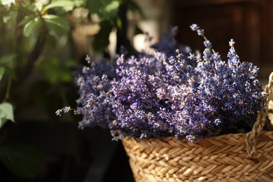 Wicker basket with beautiful lavender flowers outdoors, closeup