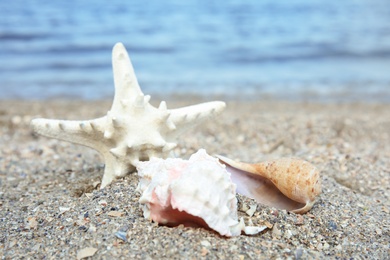 Photo of Beautiful starfish and shells on sand near sea. Beach objects