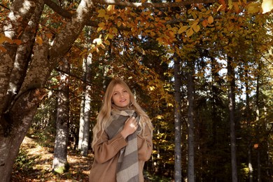 Photo of Portrait of beautiful young woman in autumn forest