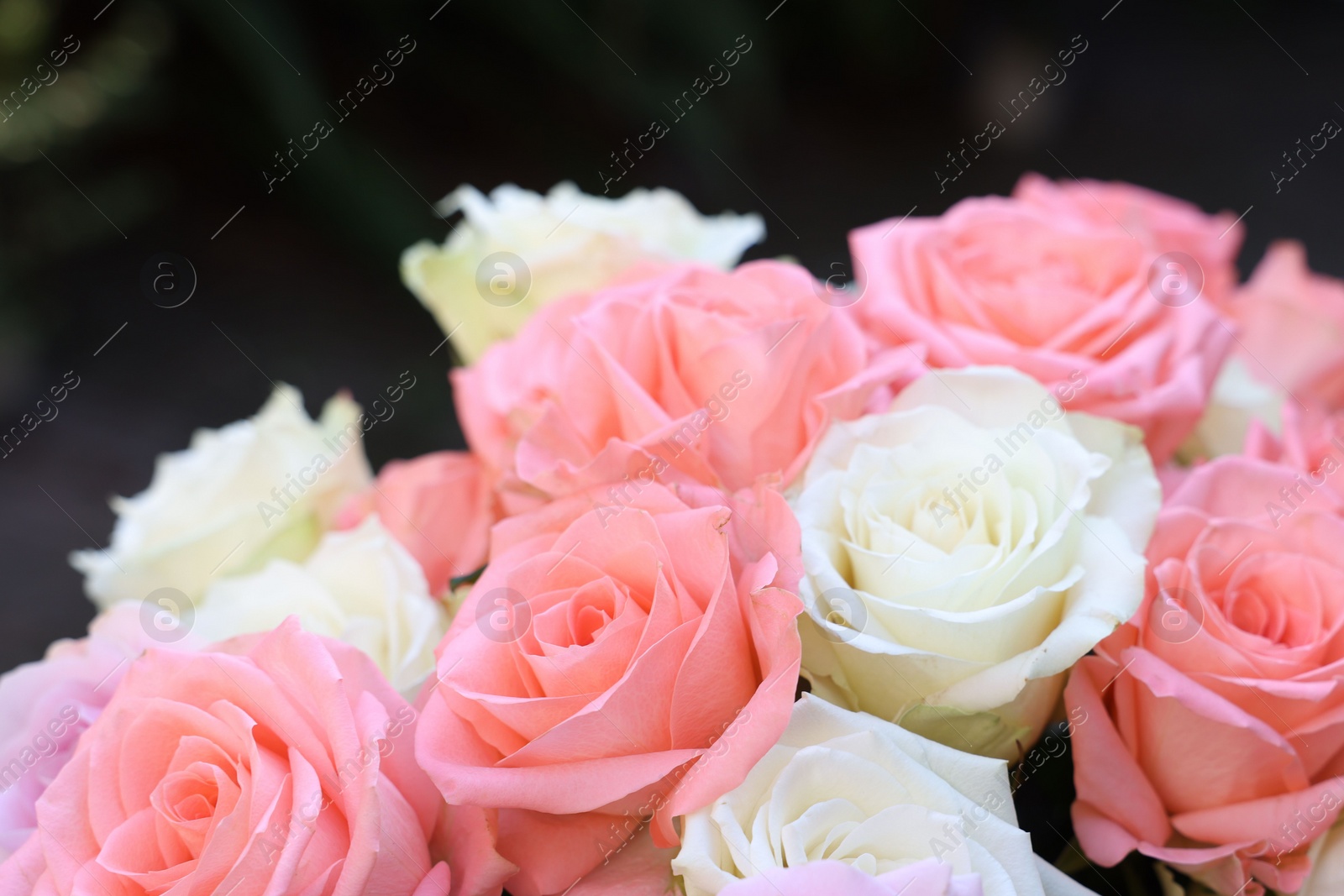 Photo of Beautiful bouquet of aromatic roses outdoors, closeup