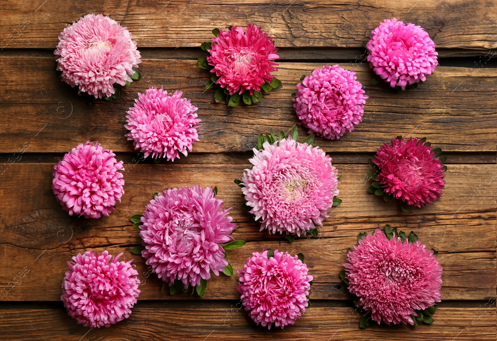 Photo of Beautiful asters on wooden background, flat lay. Autumn flowers