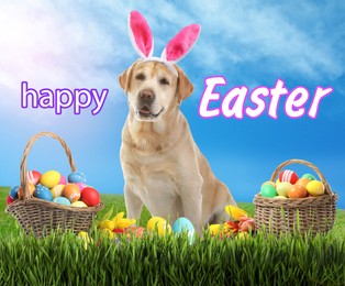 Image of Happy Easter. Colorful eggs and cute dog with bunny ears headband outdoors