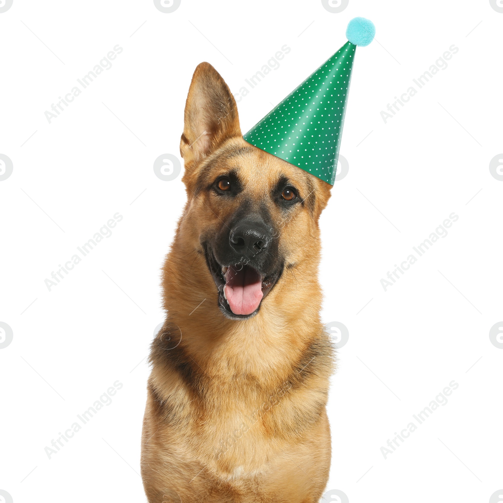 Image of Cute German Shepherd dog with party hat on white background