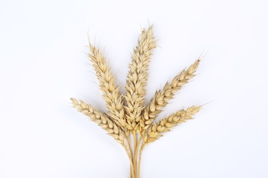 Photo of Ears of wheat on white background, top view