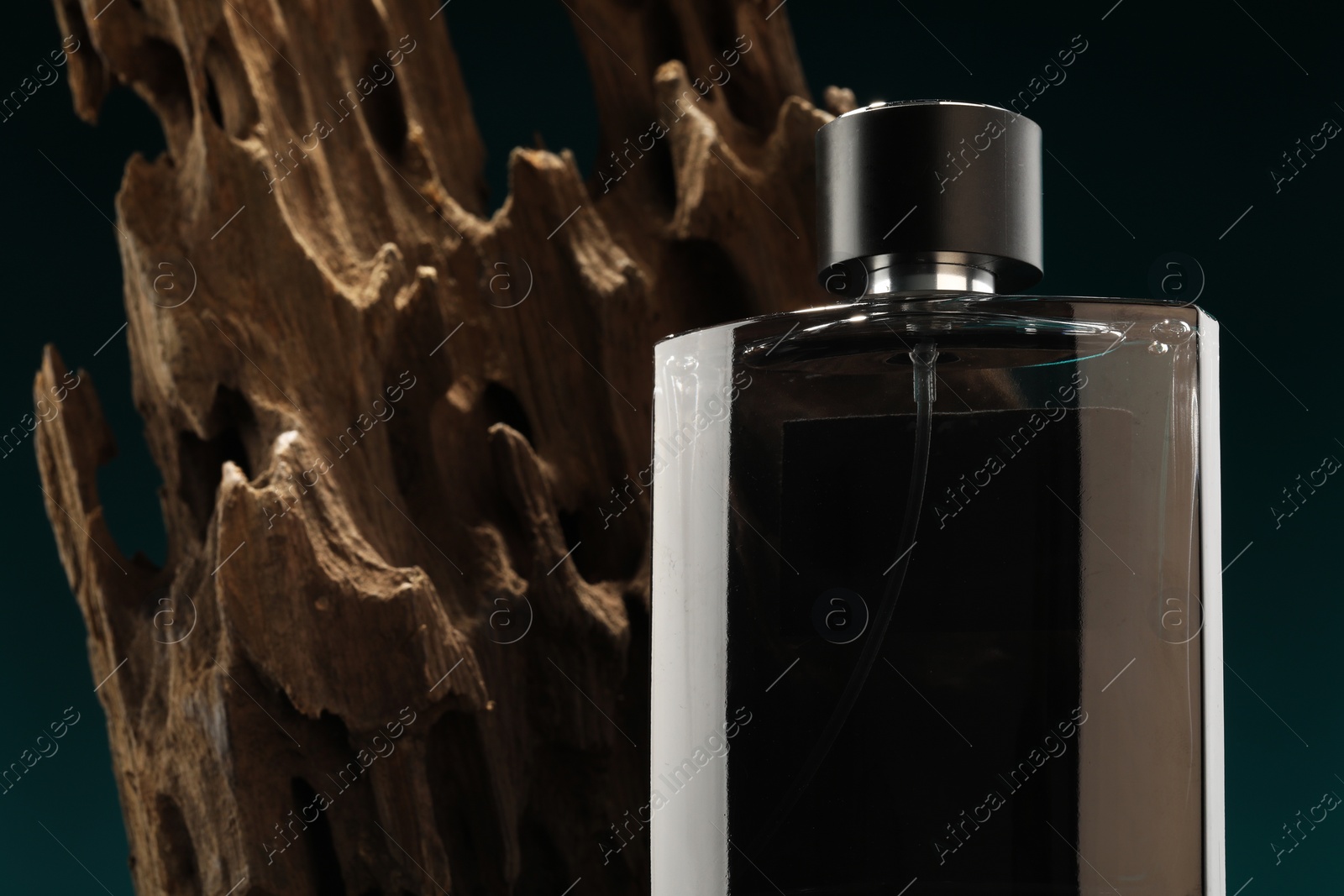 Photo of Luxury men`s perfume in bottle on color background, space for text