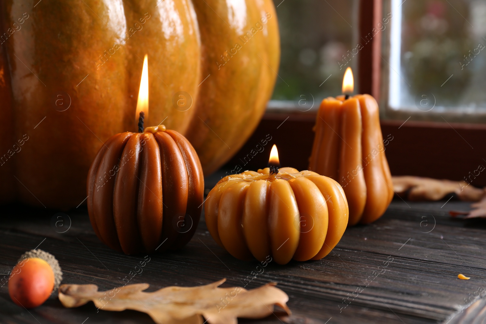 Photo of Beautiful burning candles in shape of pumpkins on wooden table near window. Autumn atmosphere