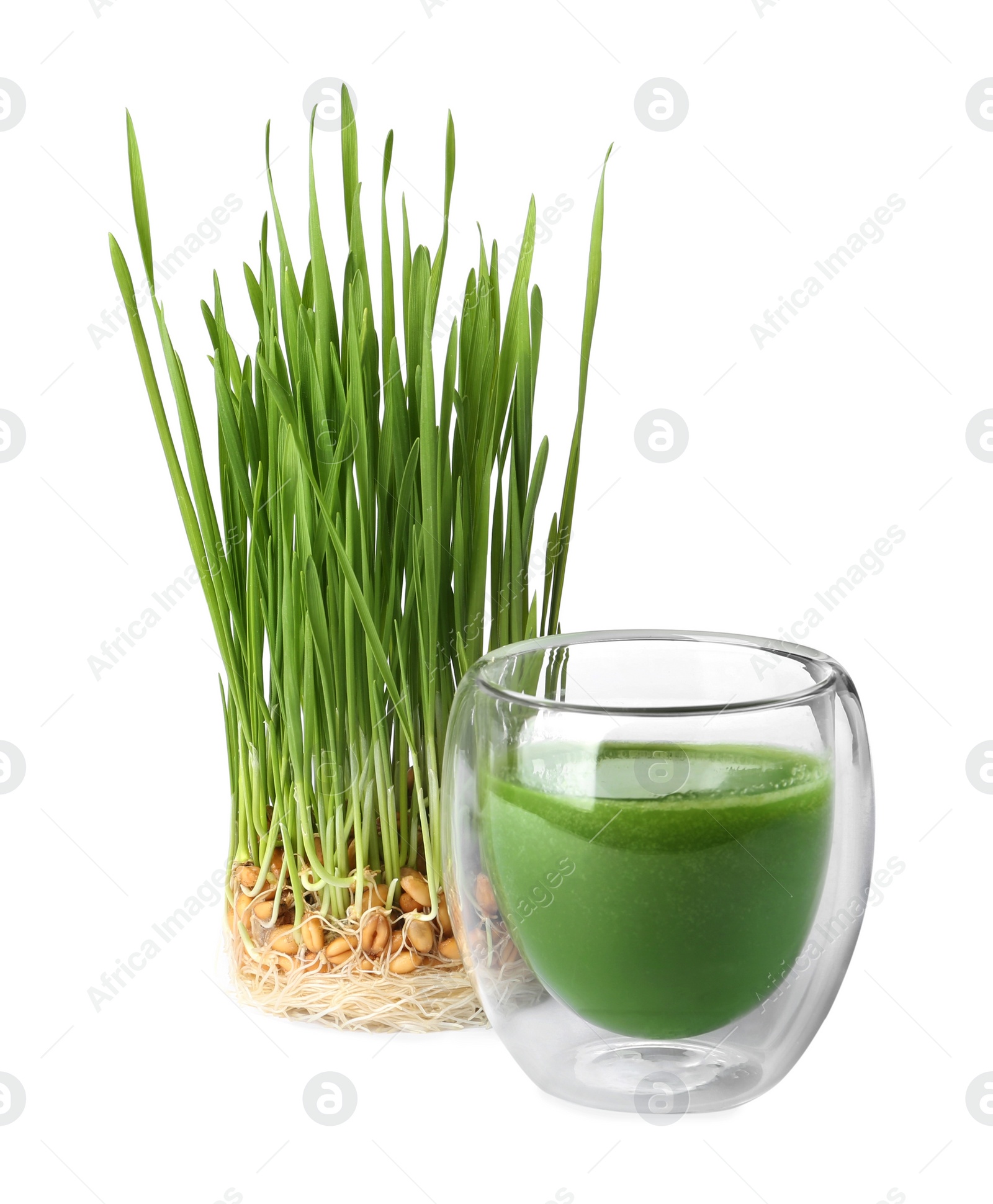 Glass of fresh wheat grass juice and sprouts on white background Photo of Glass of fresh wheat grass juice and sprouts on white background