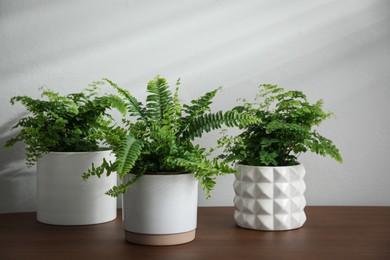 Photo of Beautiful fresh potted ferns on wooden table