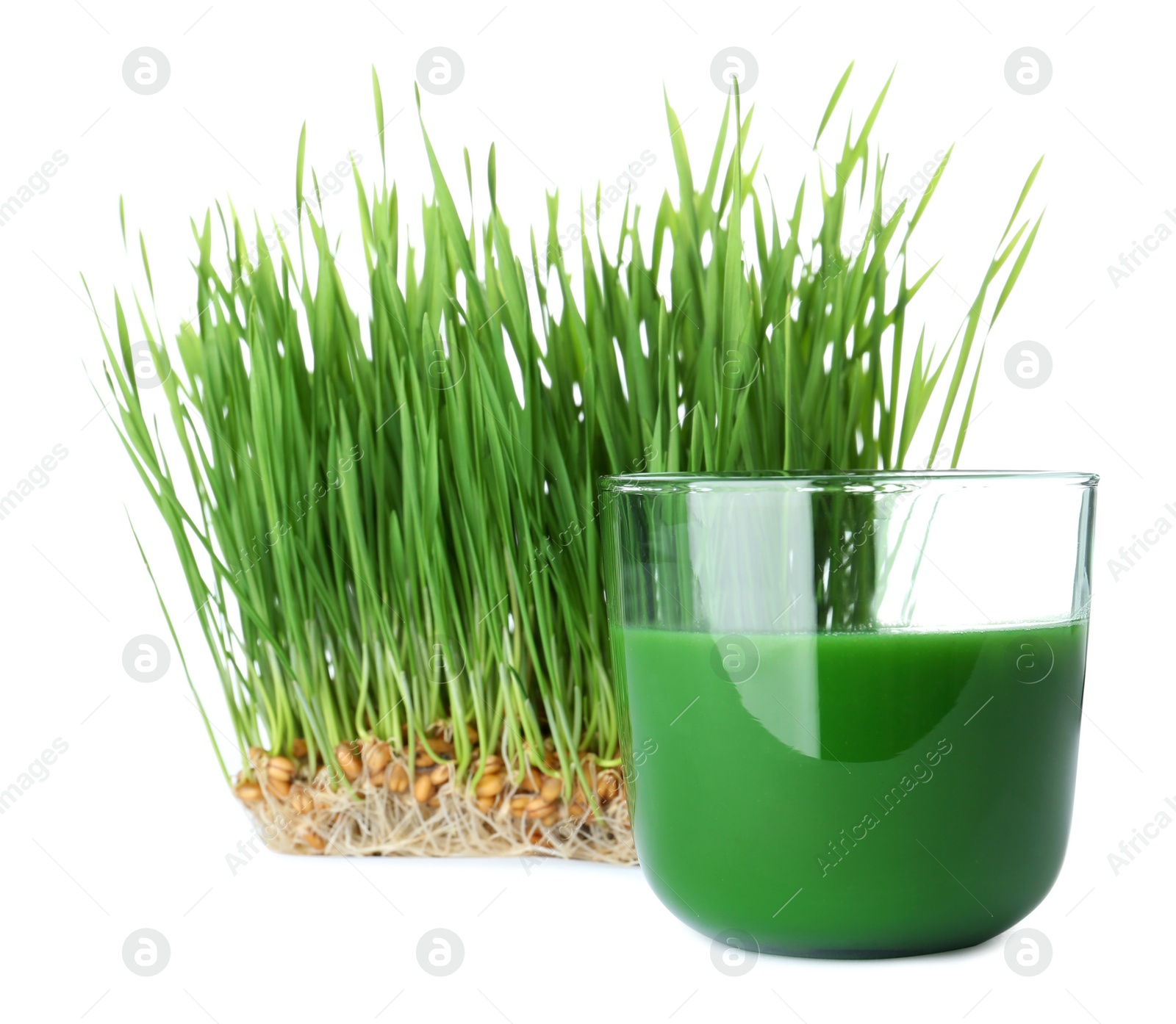 Glass of fresh wheat grass juice and sprouts on white background Photo of Glass of fresh wheat grass juice and sprouts on white background