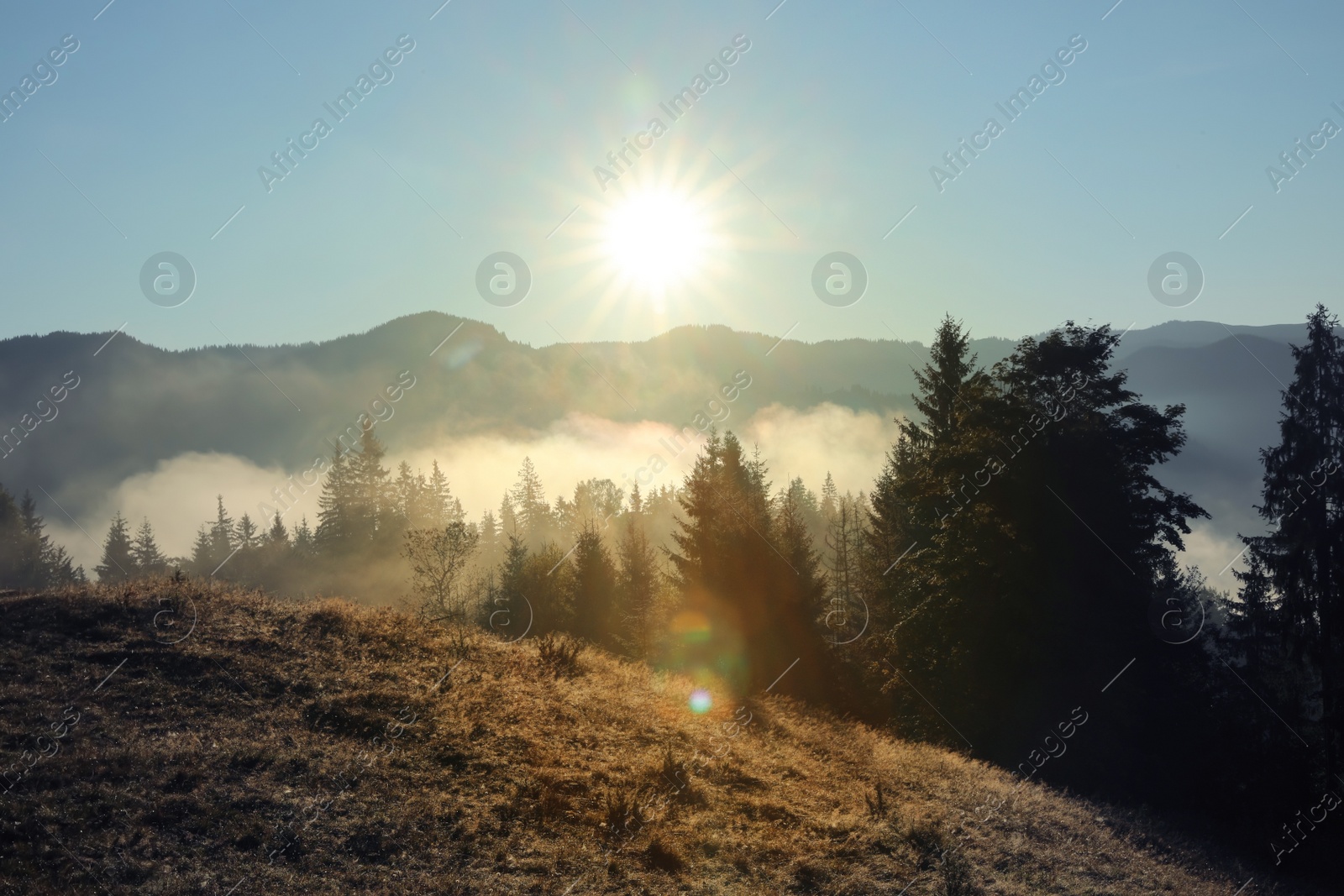 Photo of Beautiful view of mountains covered with fog at sunrise