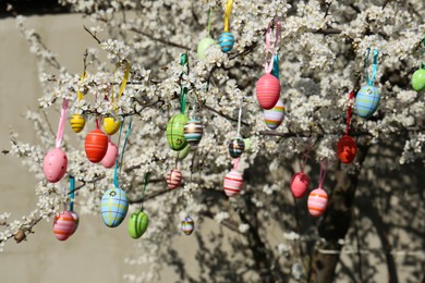 Beautifully painted Easter eggs hanging on blooming cherry tree outdoors