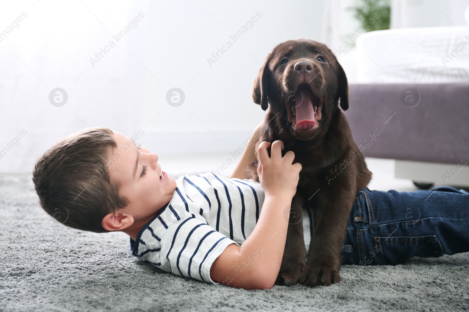 Photo of Little boy with puppy on floor in bedroom. Friendly dog