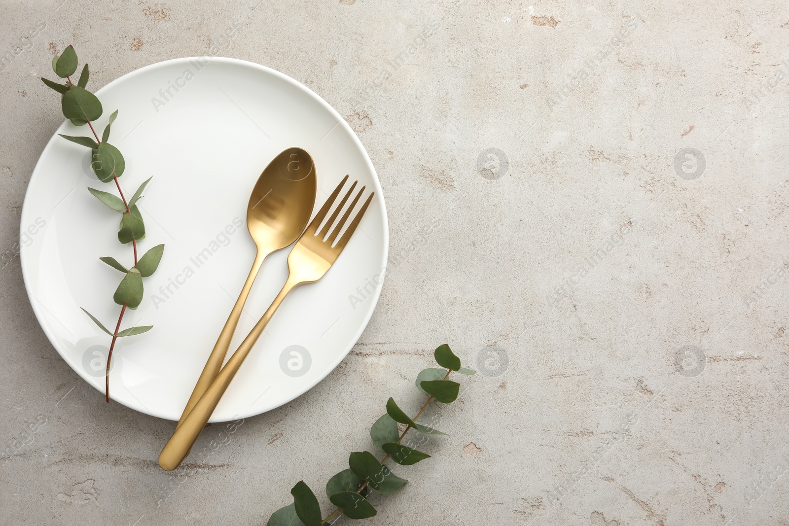 Photo of Stylish setting with cutlery, eucalyptus branches and plate on light grey table, top view. Space for text