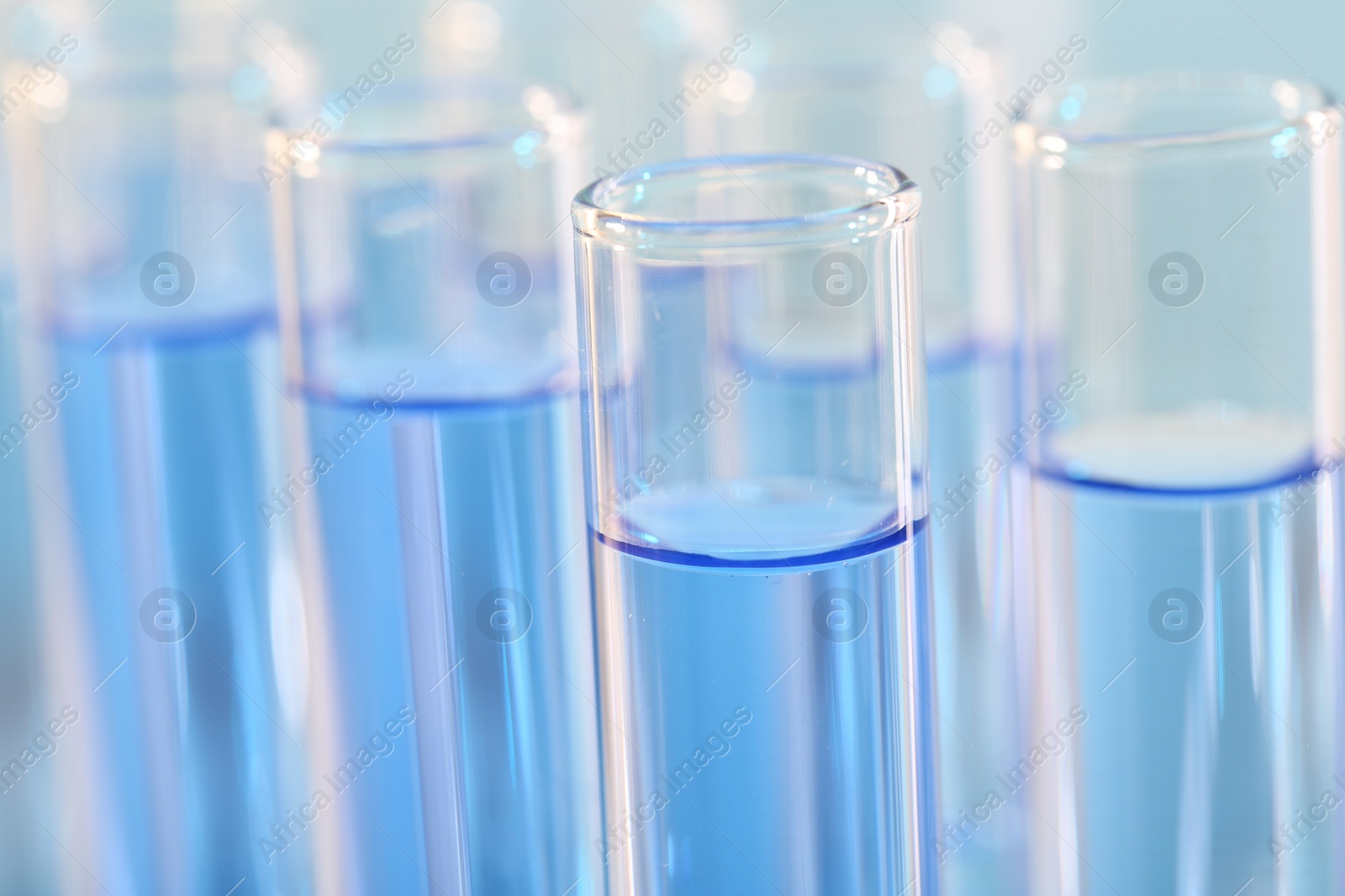 Photo of Laboratory analysis. Many glass test tubes with light blue liquid on blurred background, closeup