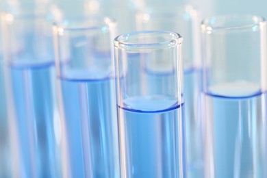 Photo of Laboratory analysis. Many glass test tubes with light blue liquid on blurred background, closeup