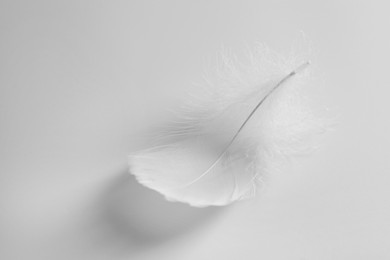 Photo of Beautiful fluffy bird feather on white background